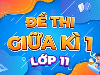 Đề giữa kì 1 Toán 11 trường THPT Gia Định – TP HCM năm 2023 – 2024