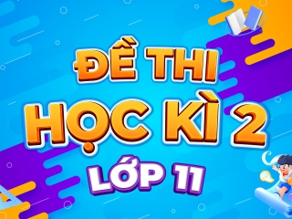 Đề học kỳ 2 Toán 11 trường THPT Nguyễn Thị Minh Khai – TP HCM năm 2023 – 2024