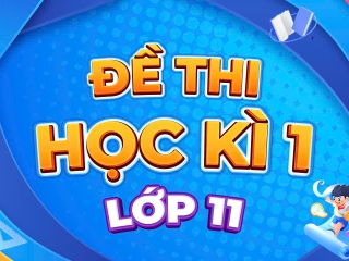 Đề cuối học kỳ 1 Toán 11 trường chuyên Lê Hồng Phong – TP HCM năm 2024 – 2025