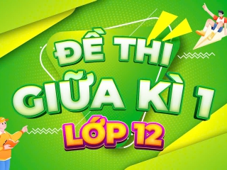 Đề giữa học kỳ 1 Toán 12 trường Mỹ Việt – TP HCM năm 2024 – 2025